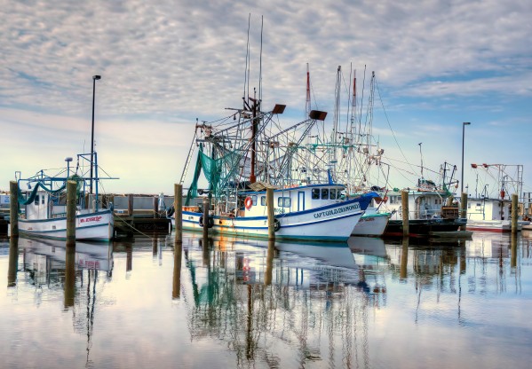 Captain Gold & Diamond 1 - HDR by Digicam